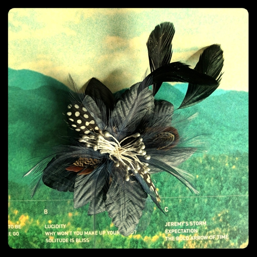 Art Deco Feather Hair Clip/Brooch